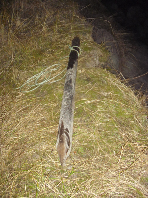 Denne stokken bærer minst preg av å ha stått i et fuktig miljø i 65 år.<br />Tror stokken var 2m lang da den ble slått ned i sanden .