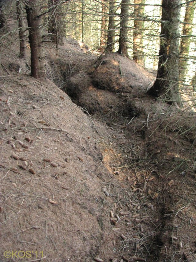 20110220_008_1.jpg