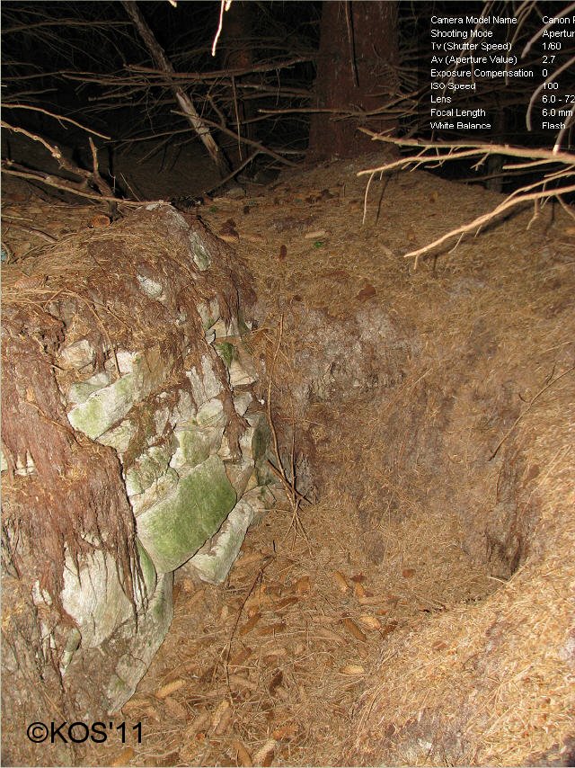 20110220_009_1.jpg