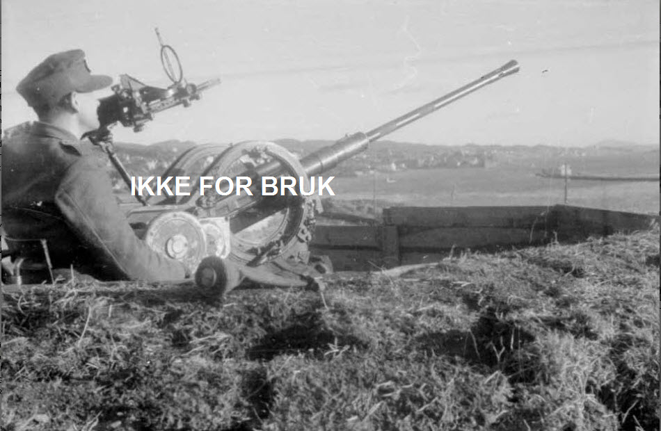 WL FLAK Risøy Haugesund.jpg