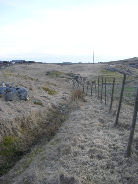 Midten av løpegraven