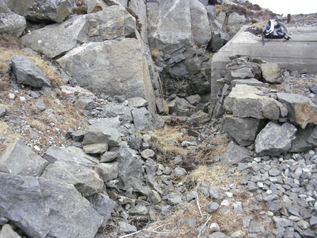CIMG2657.JPG