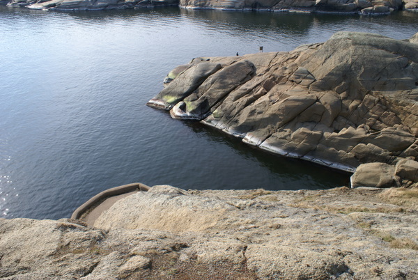 DSC00652.jpg