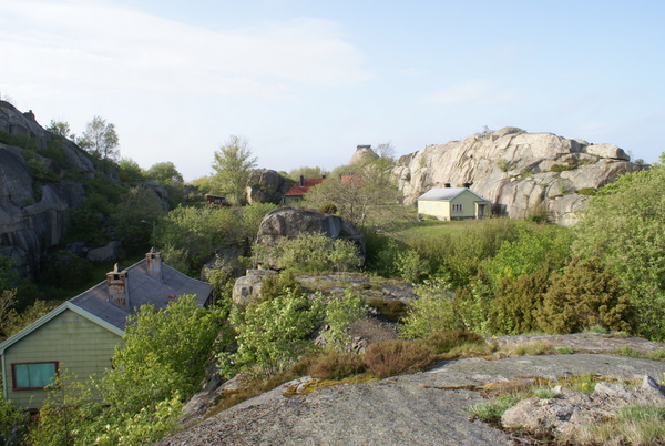 DSC01571.JPG