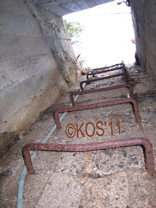 20110422_002_1.jpg