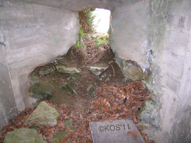 20110422_013_1.jpg