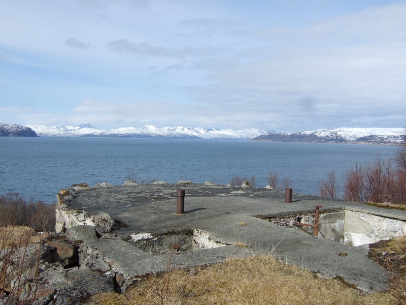 Utsikt fra ko-bunker. På odden til venstre ligger en torpedostasjon i møllpose og lengst bort, midt på bildet, finnes restene av Skorliodden Fort.