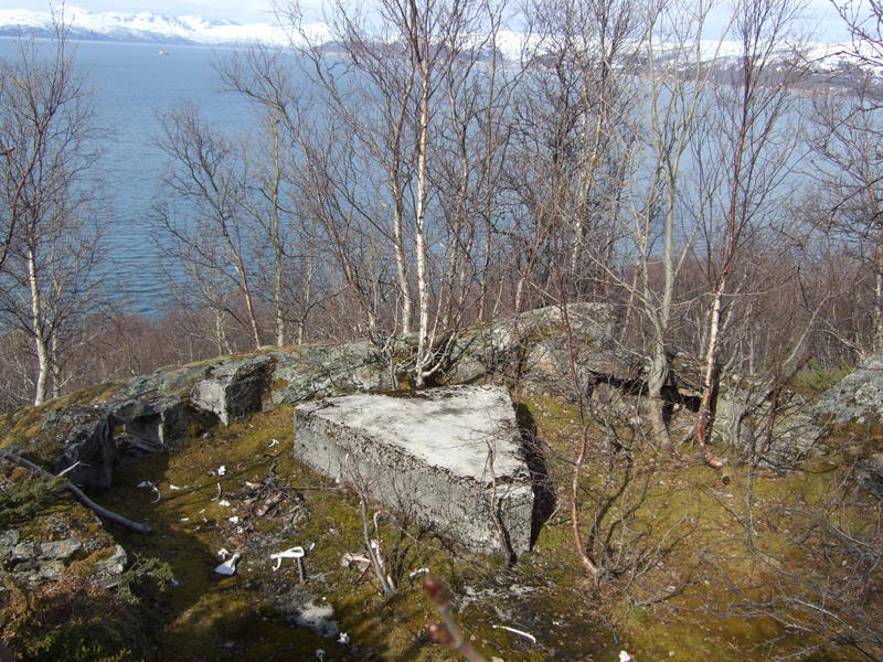 ansnes080511 005.jpg