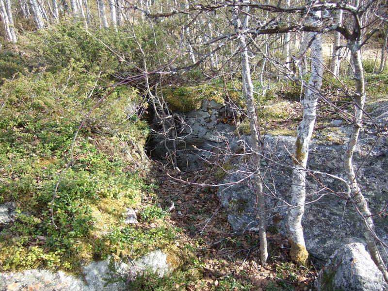 ansnes080511 007.jpg