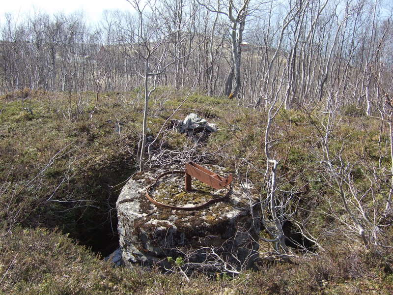 ansnes080511 013.jpg