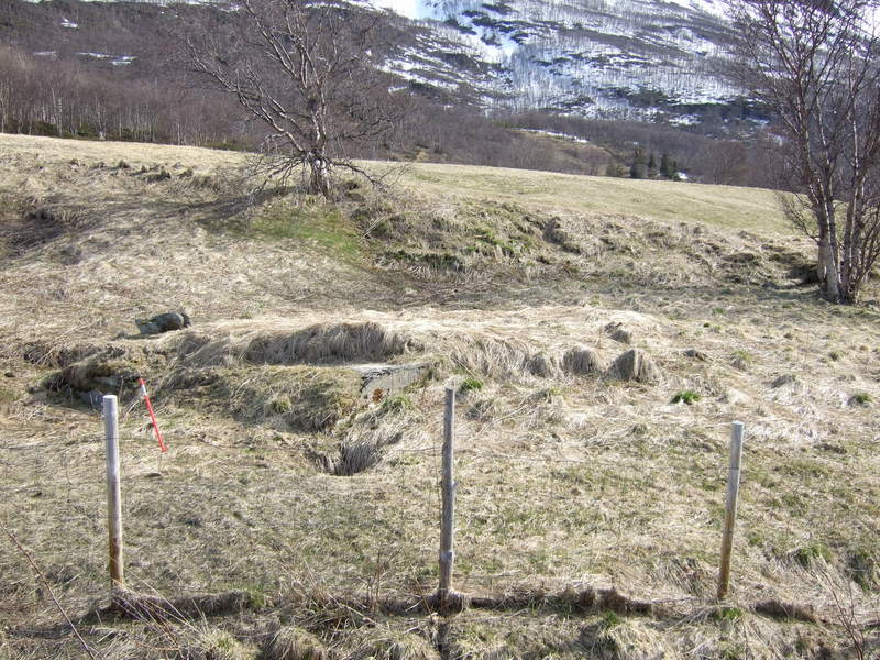 ansnes080511 017.jpg