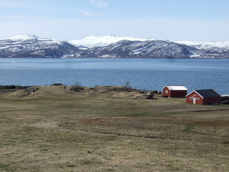ansnes080511 019.jpg