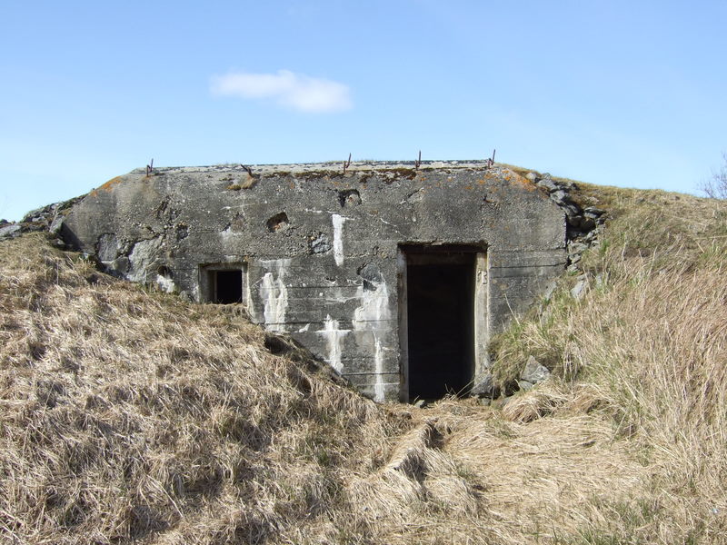 ansnes080511 026.jpg