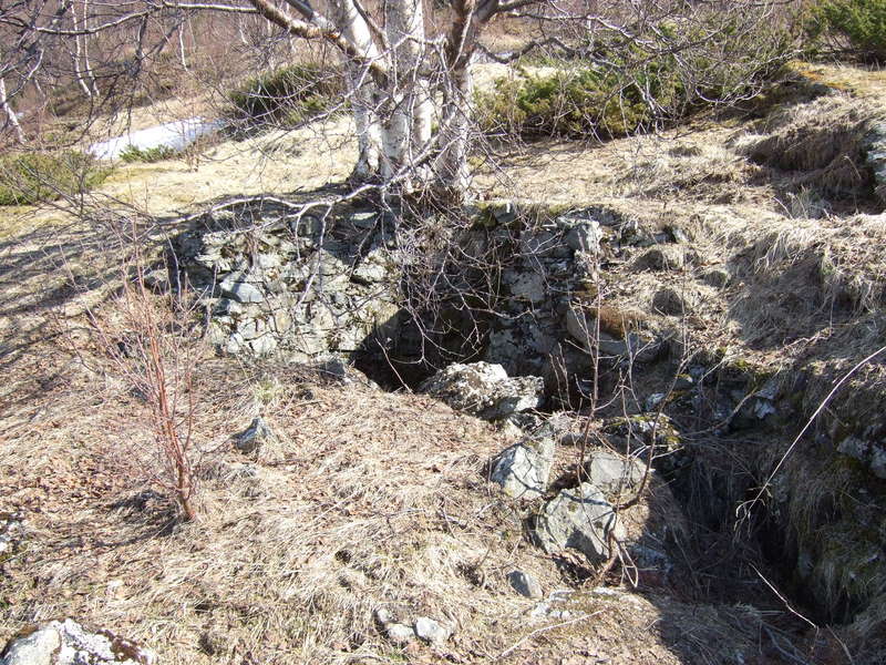 ansnes080511 033.jpg