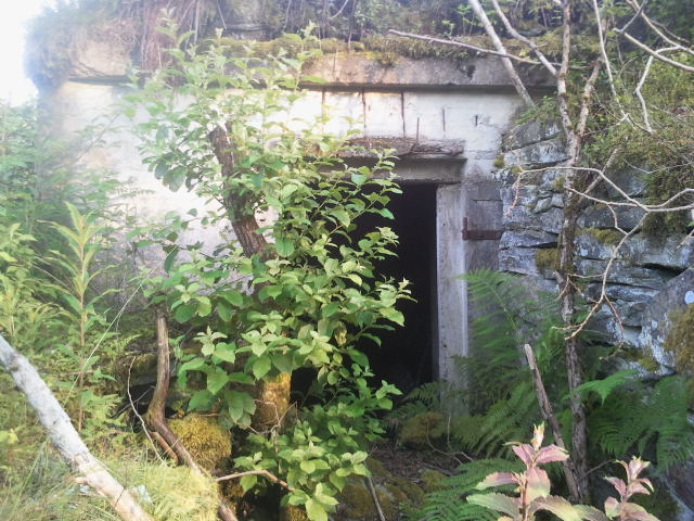 Bunker2.jpg