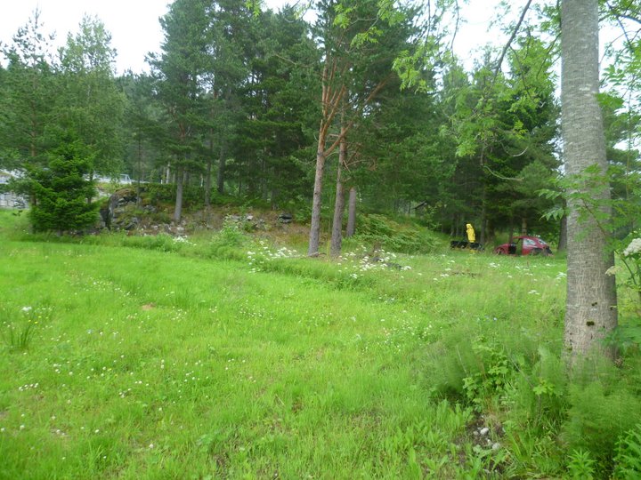 Utsikt opp mot veien. Det lå minefelt langs veien. Man kan skimte en bunker der og. Denne er påsatt ny dør i tre, og ibruk som redksapskjul/lager etc. Bunkeren har to innganger, men den ene er gjenmurt. Nærmere bilder av denne har jeg lagt ut tidligere, lengre opp på siden.