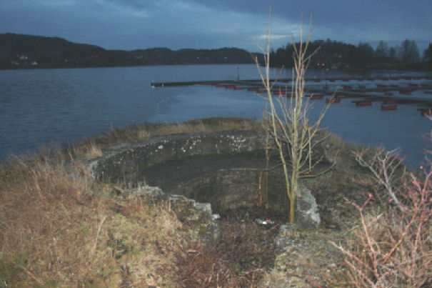 Stillingene på Skjelsvik.