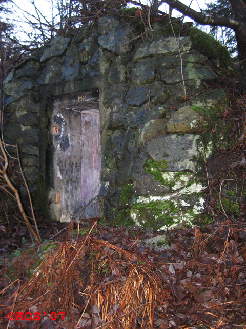 Koblings-bunkers litt nede i dalen(vest)