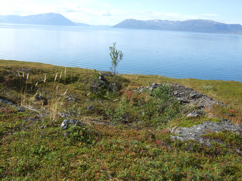 Lyngen210811 022.jpg