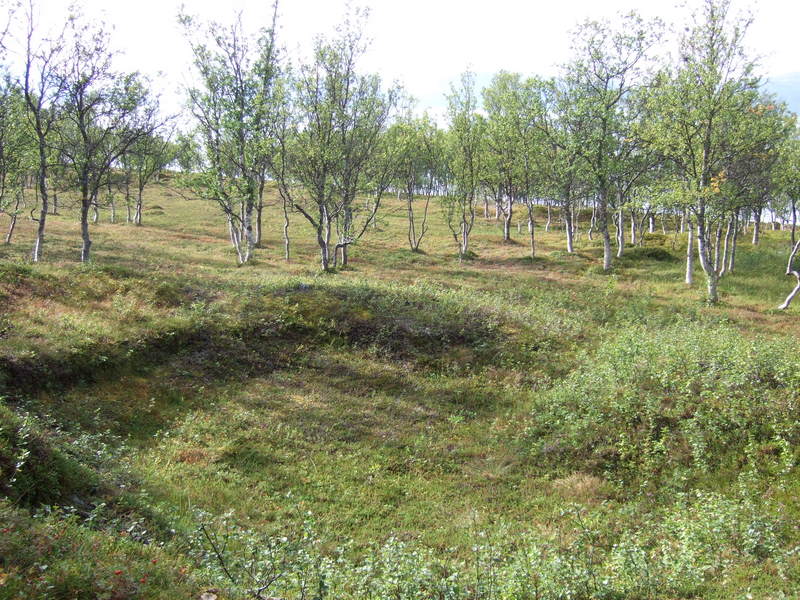 Nord-Lenangen 018.JPG