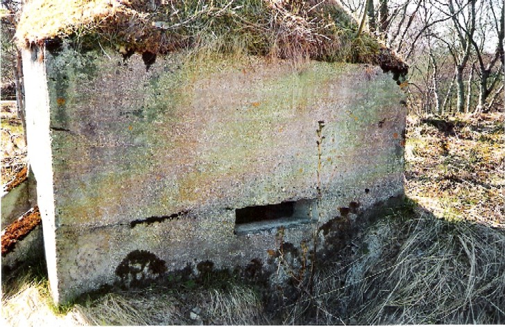 Bunker1.jpg