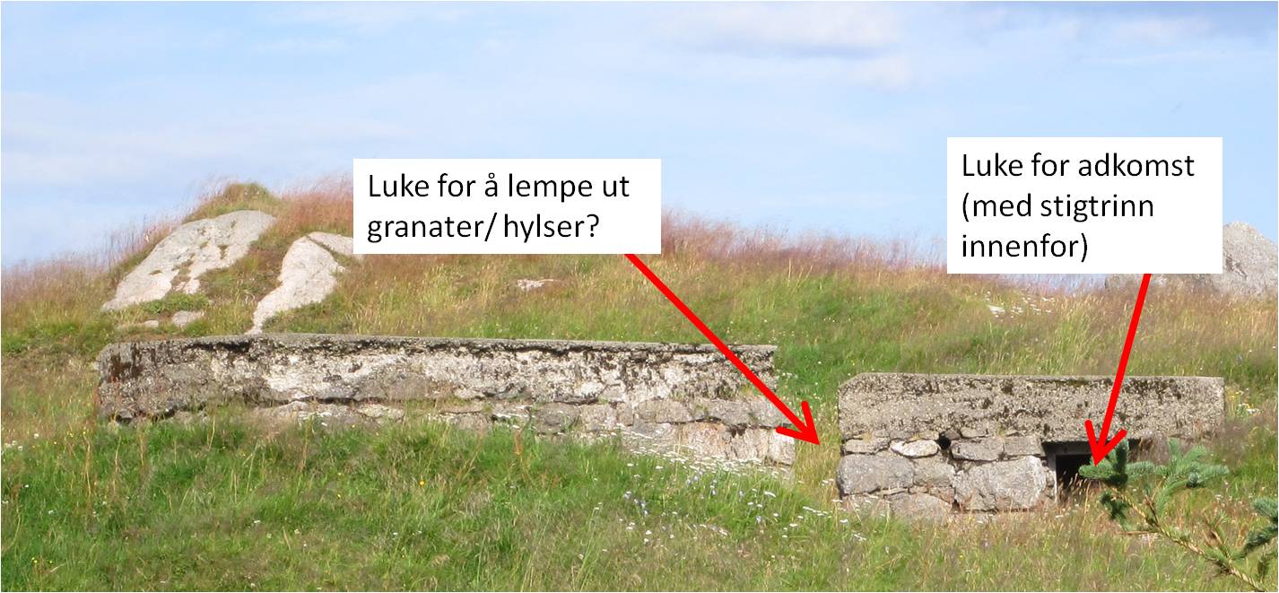 Buksnes.jpg