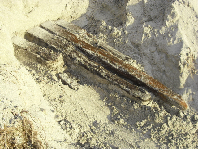 Gravde ikke lenger inn i sanden denne gangen. eg trur plankene går videre inn i sandhaugen og kommer til å grave videre en annen dag og da med litt bedre grave utstyr.