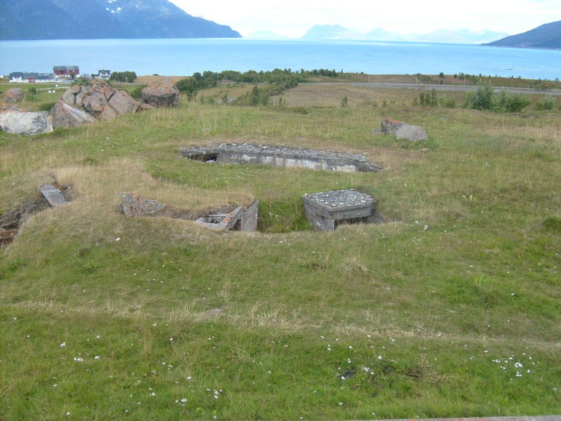 LV. stilling 1.jpg
