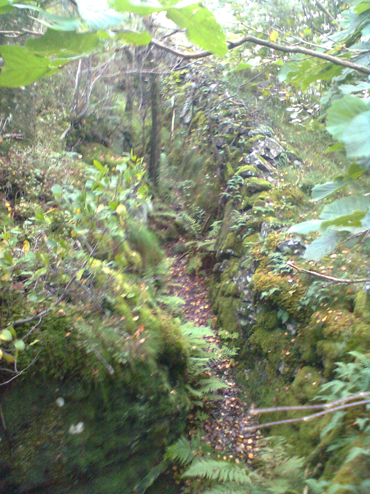 Bilde0059.jpg