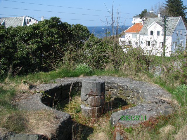 20110423_002_1.jpg
