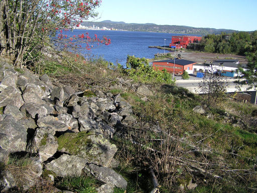 Herre_laksebergåsen.jpg