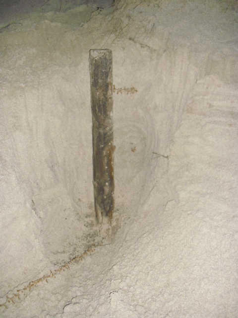 Og den som leter skal finne ...