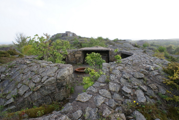 DSC01552.JPG
