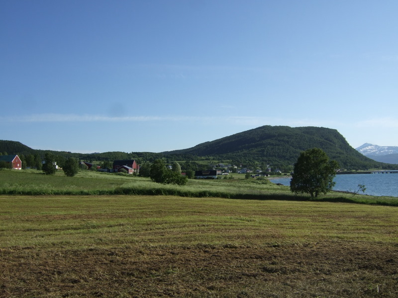 Bjarkøy030711 025.jpg