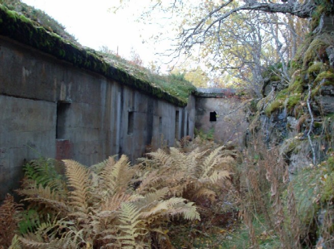 Ormegress på MKB Ramstad