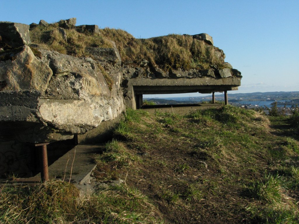 20120404_036_1.jpg