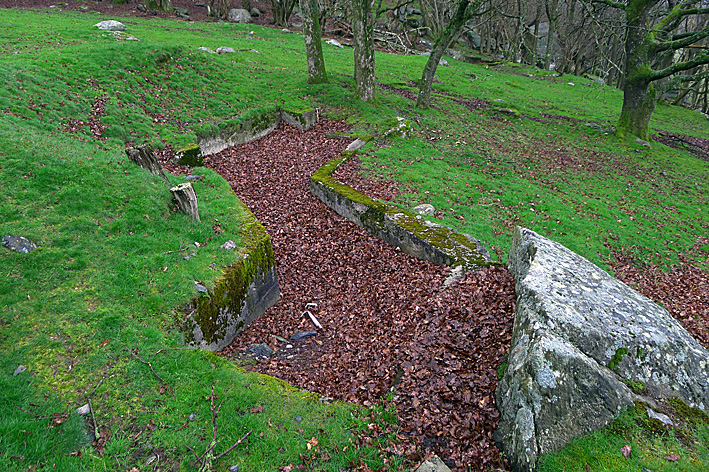P1050016.jpg