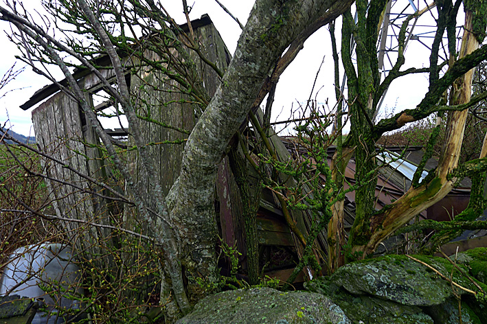 P1050020.jpg