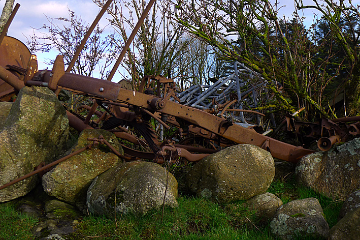 P1050054.jpg