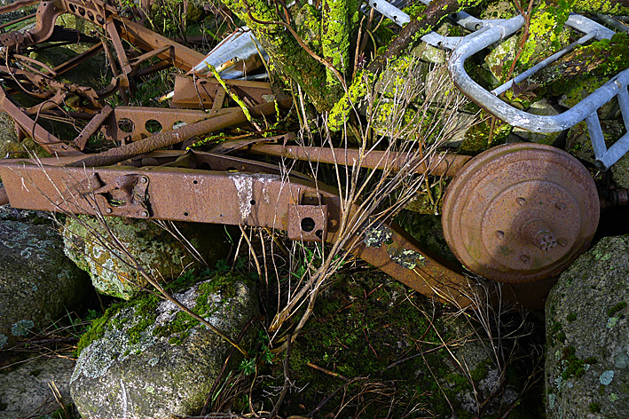 P1050061.jpg