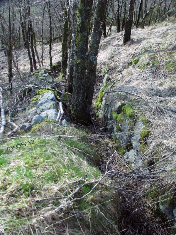 20120406_022_1.jpg