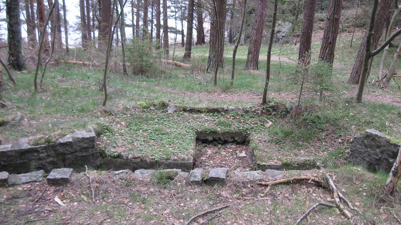 Grønnbukt (15).JPG