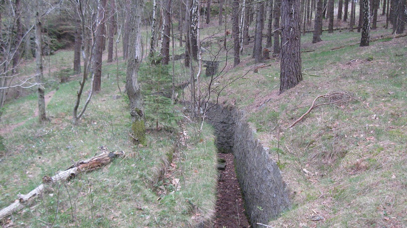 Grønnbukt (22).JPG