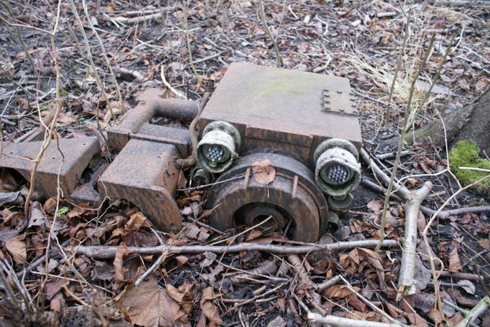 DSC04583.JPG