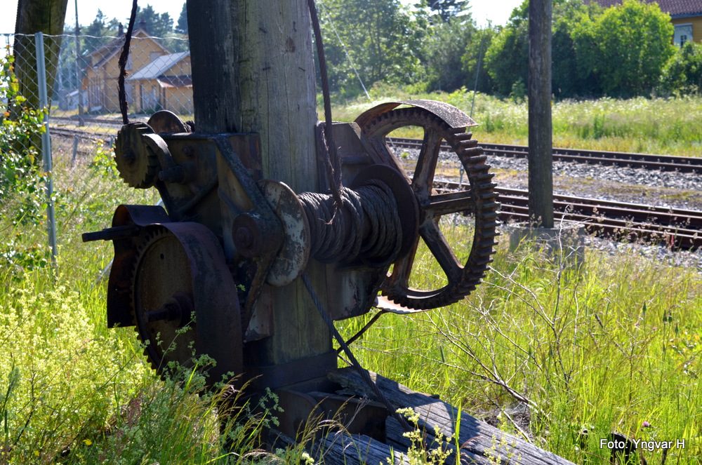8-DSC_0017.JPG