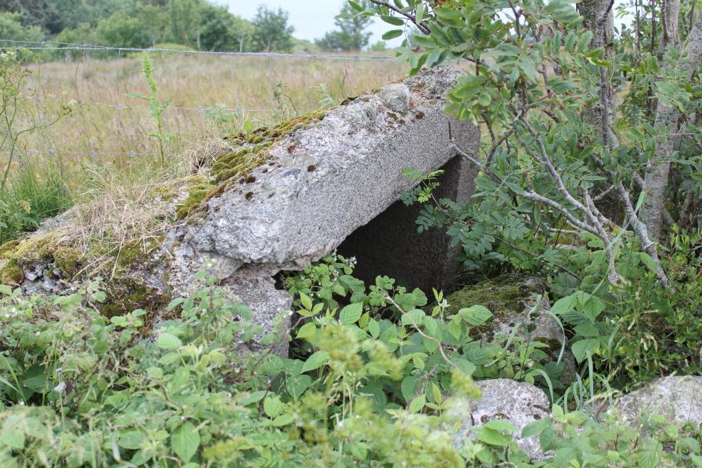 Betongtrapp midt i et steingjerde.
