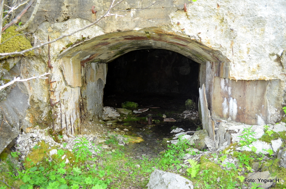 07-DSC_0333.JPG