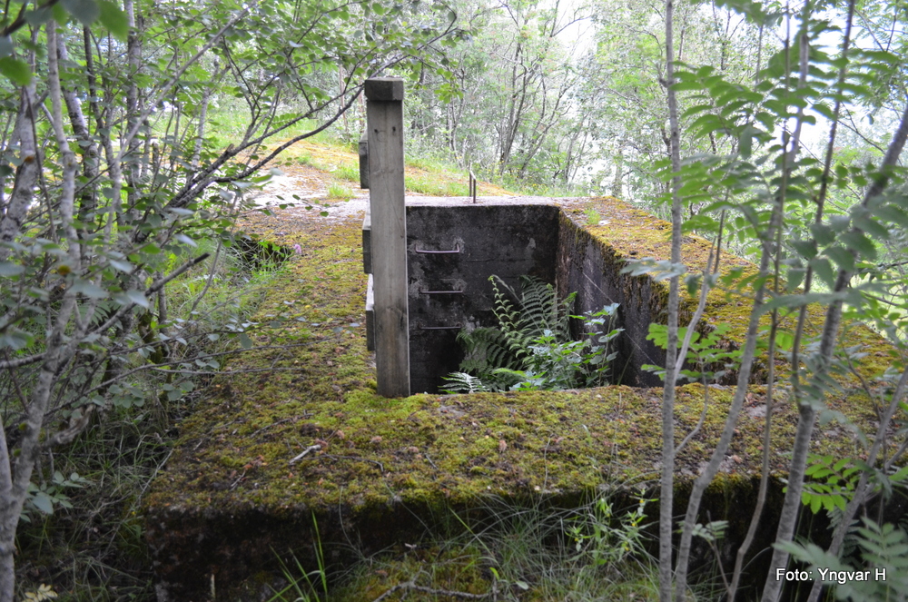 Bunker