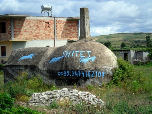 Shitet.jpg