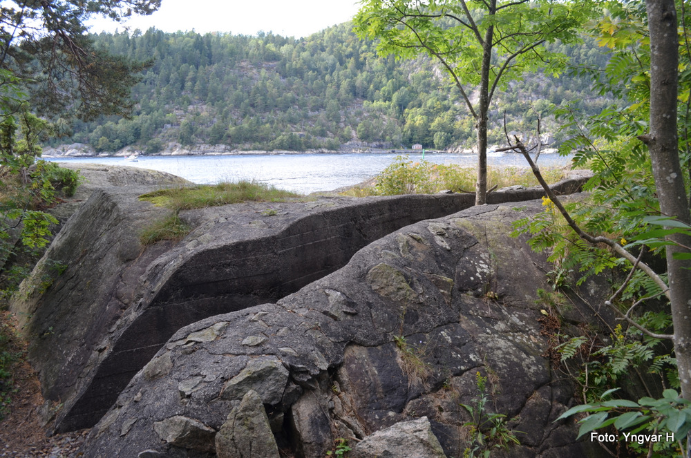 17-DSC_0079.JPG